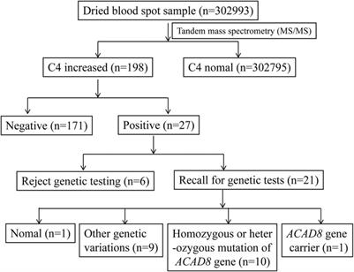 Identification of Six Novel Variants of ACAD8 in Isobutyryl-CoA Dehydrogenase Deficiency With Increased C4 Carnitine Using Tandem Mass Spectrometry and NGS Sequencing